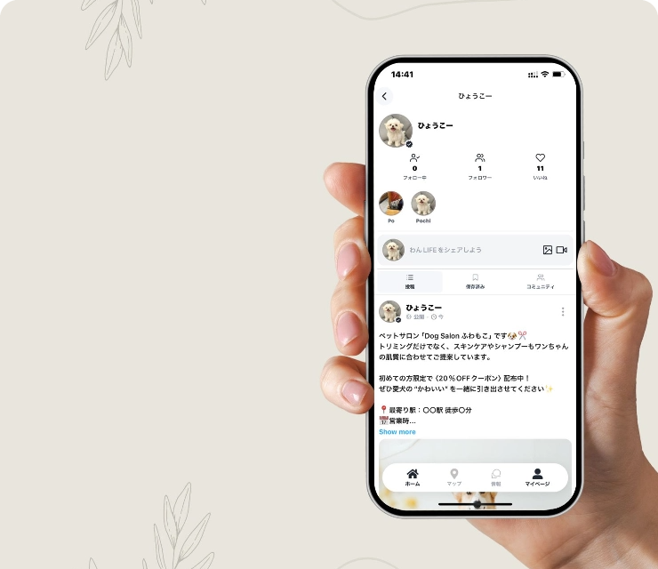 プロアカウント