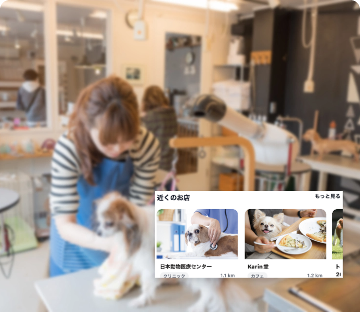 近くのお店広告